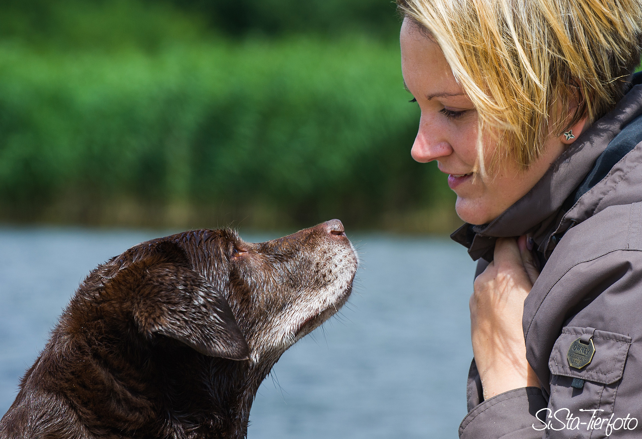 Hund Sugar und Peggy